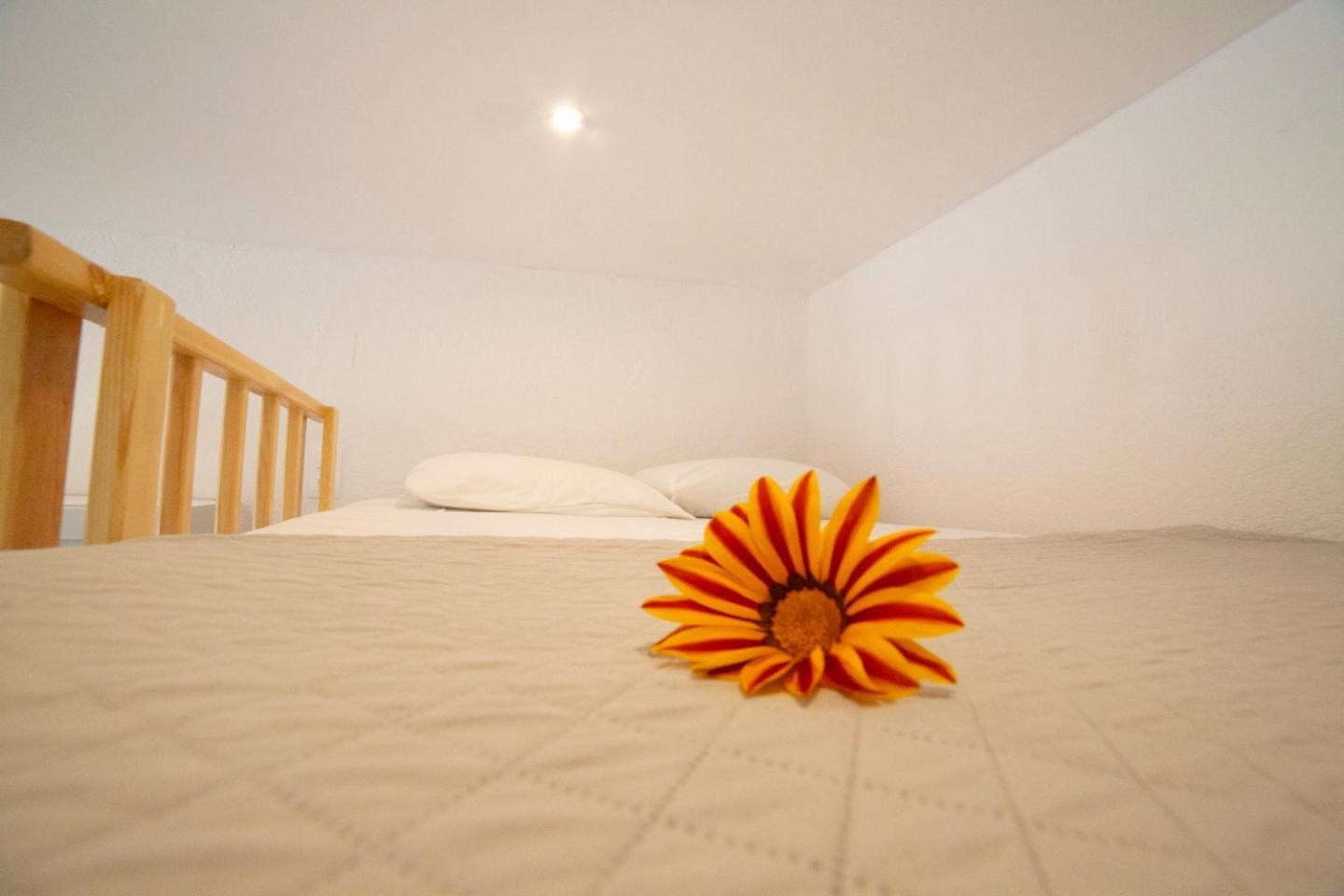 Antigone'S Garden Villa Halikounas ภายนอก รูปภาพ